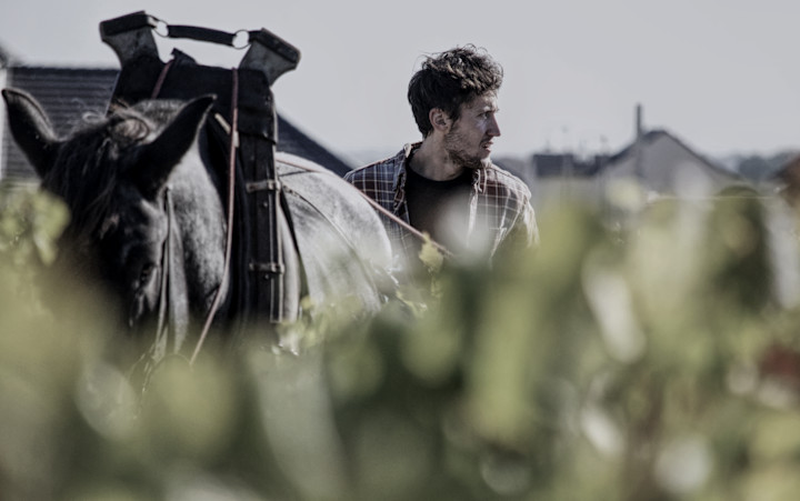 Champagne Waris-Larmandier