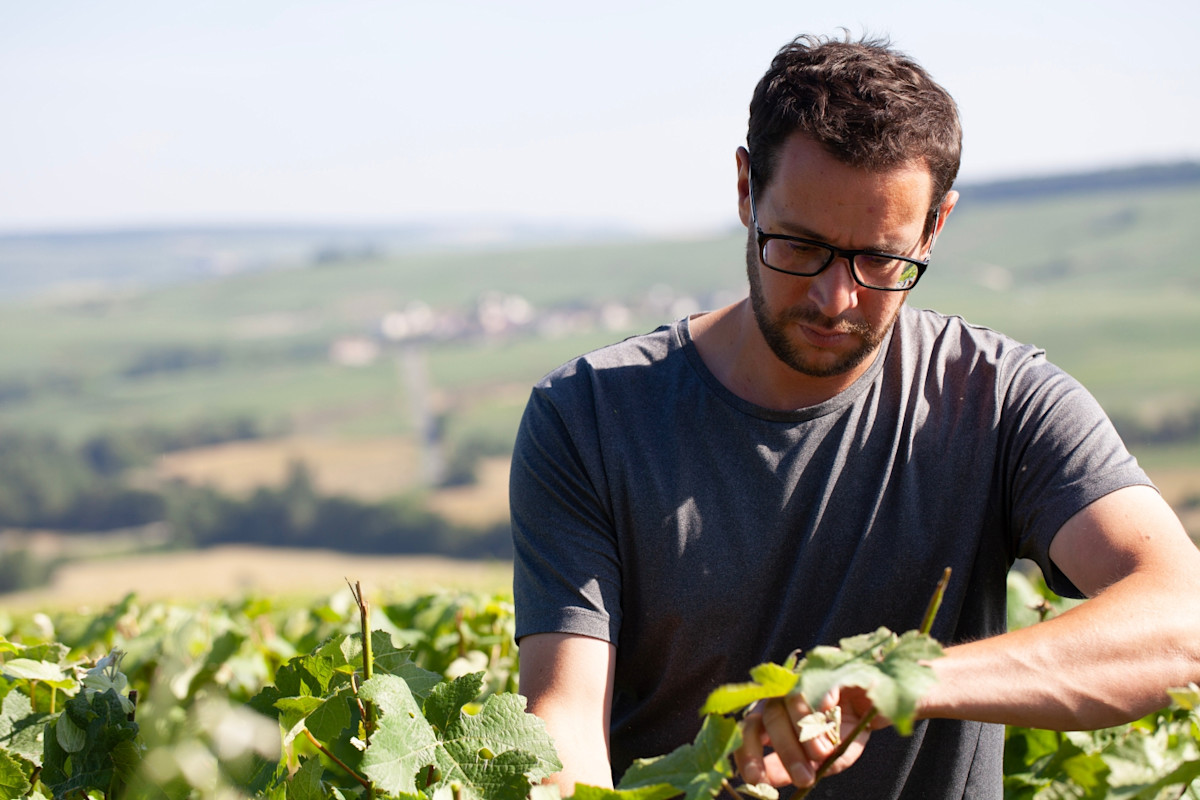 Champagne Loriot-Pagel