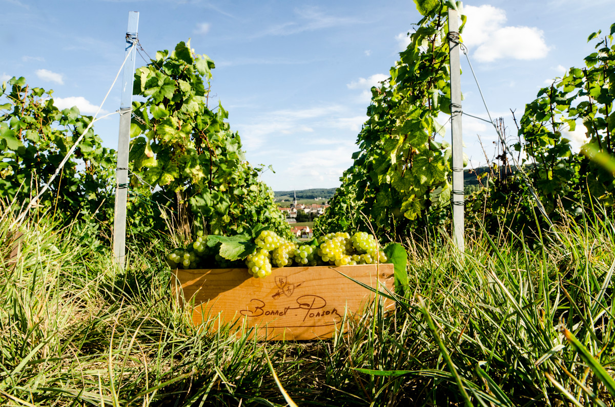 Champagne Bonnet Ponson