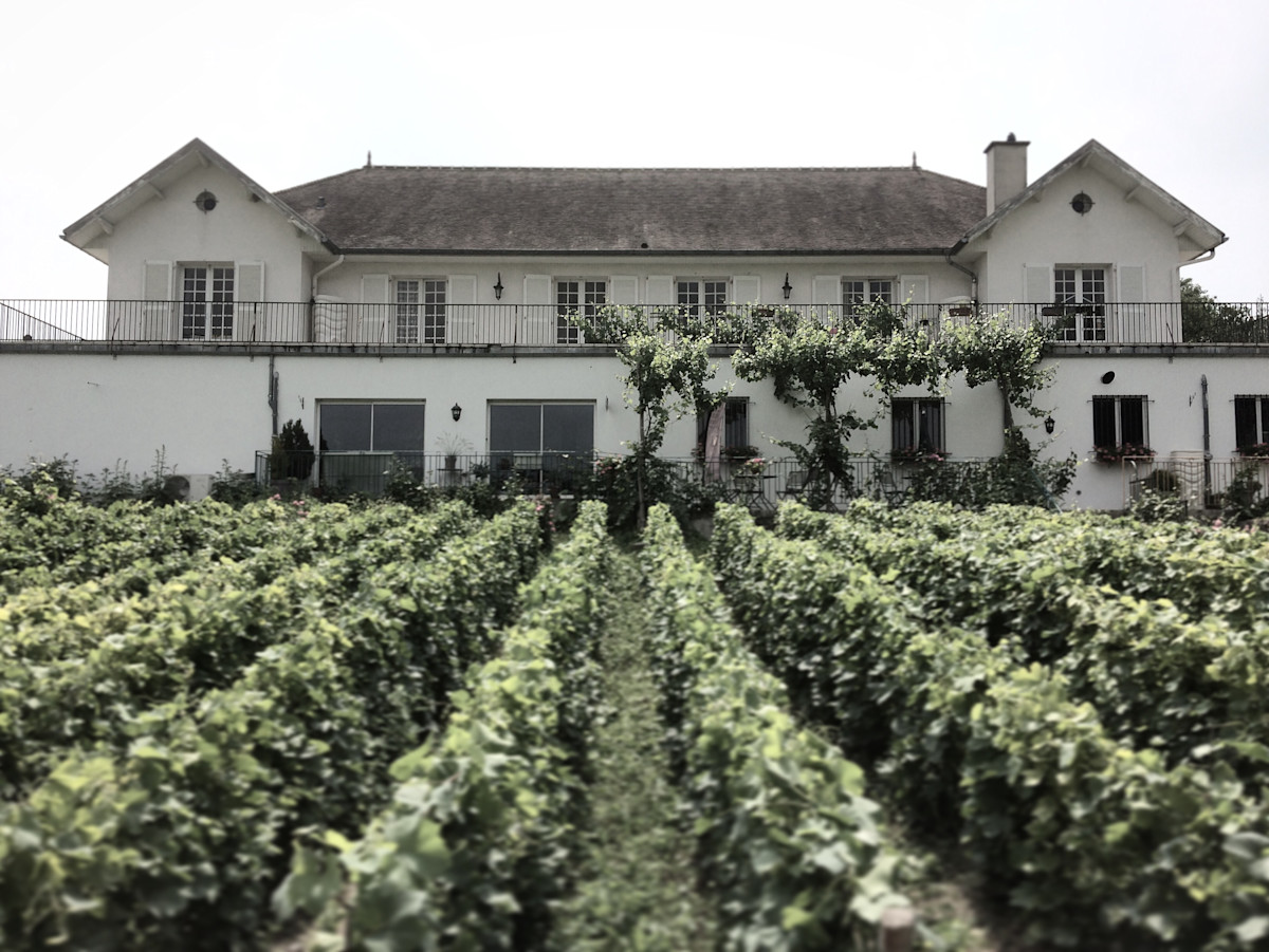 Champagne Waris-Larmandier