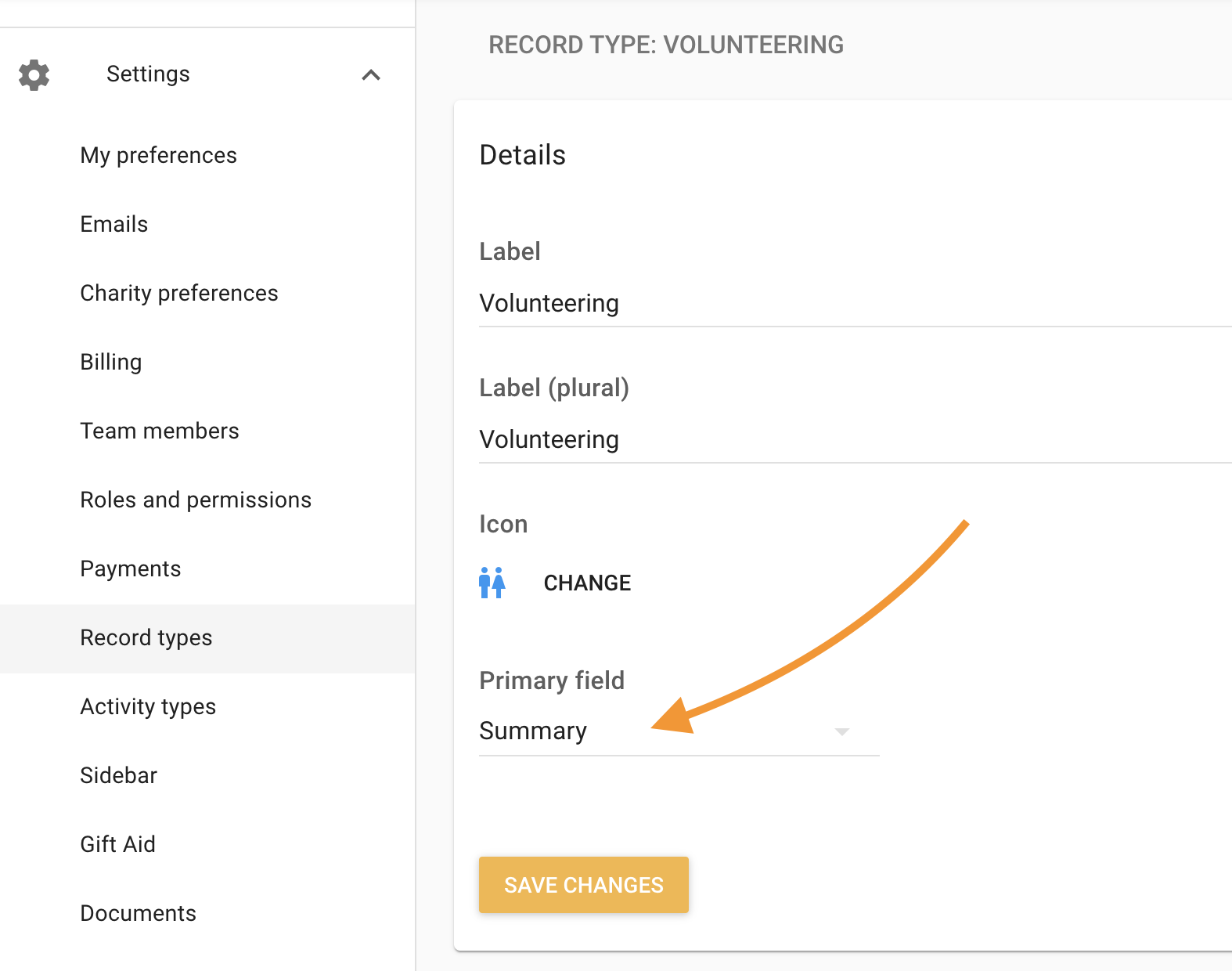 Set record type primary field