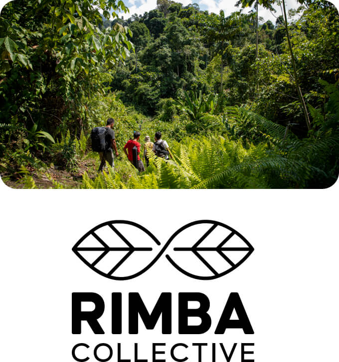 RIMBA Collective - Founder Member