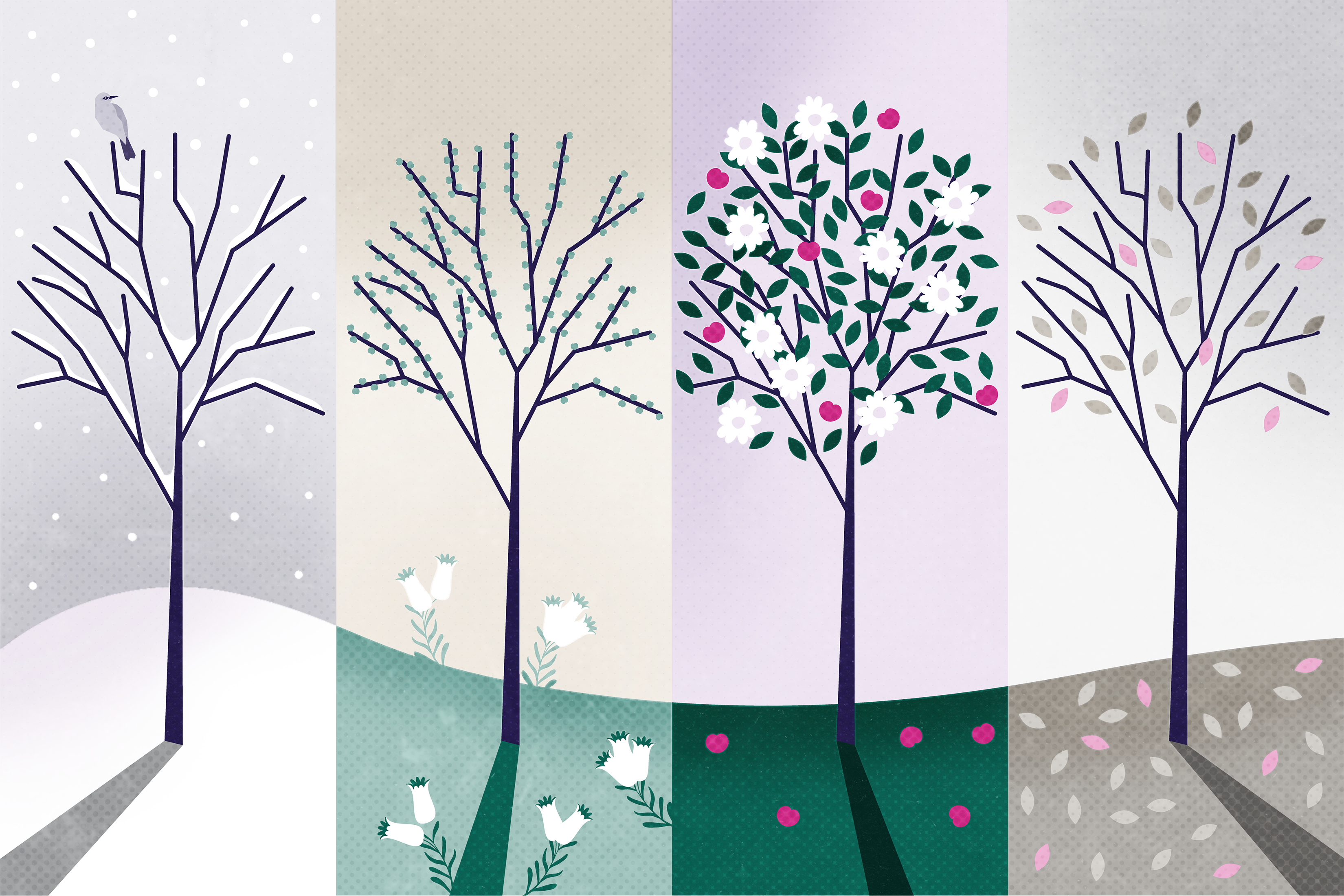 Image of tree across four changing seasons: winter, spring, summer, fall.