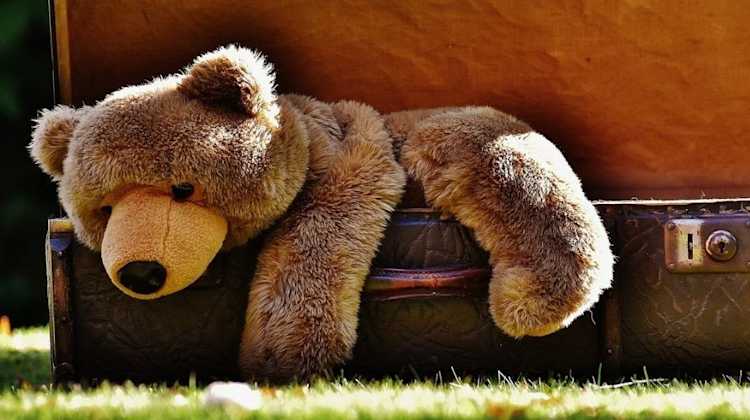 teddy bear in a suit case, military family preparing to move with a toddler