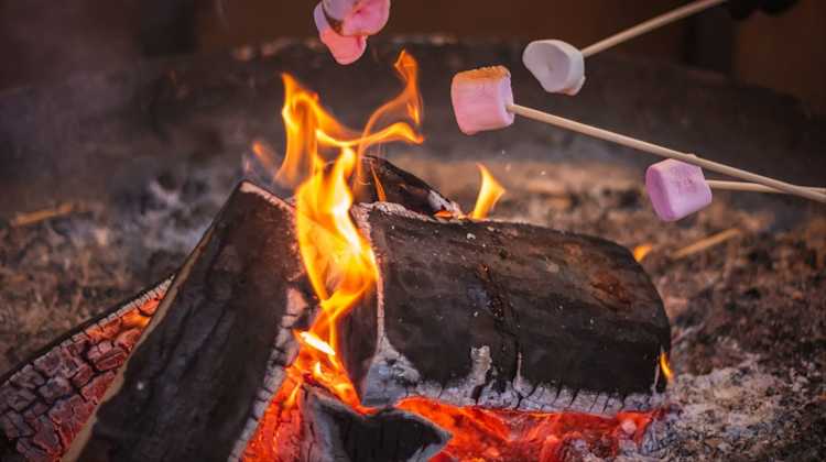 roasting marshmallows over a campfire