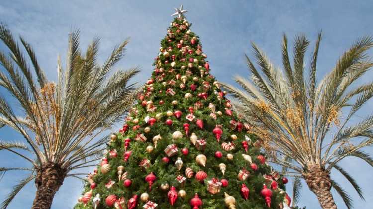 Military families stationed in San Diego can enjoy both unique and traditional holiday celebrations near San Diego