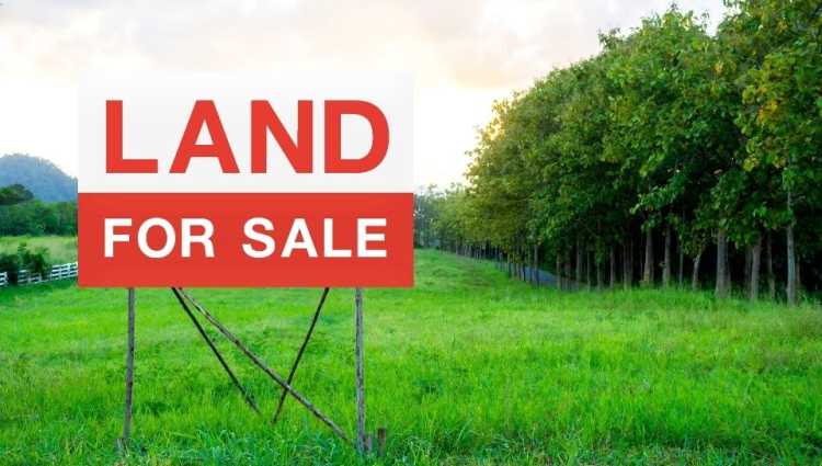 Tired of Getting Outbid? Buy Land to Build a House!