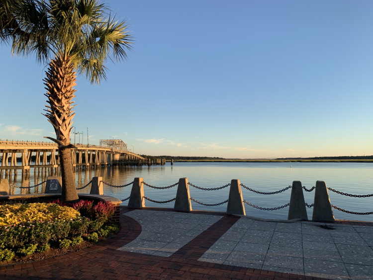Bridge, palm tree, and water view from Beaufort, SC