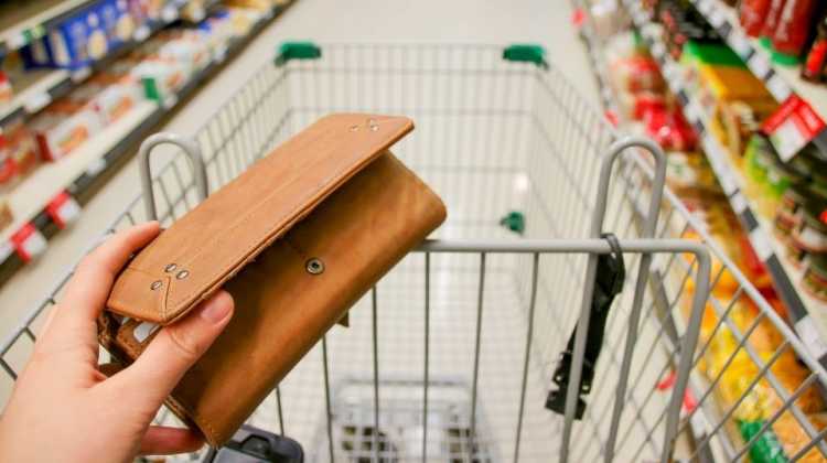 Grocery store cart and wallet