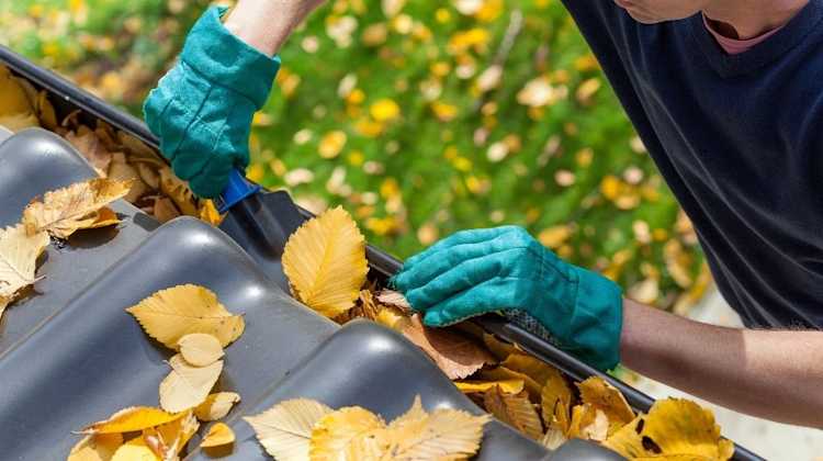 cleaning leaves out of gutters