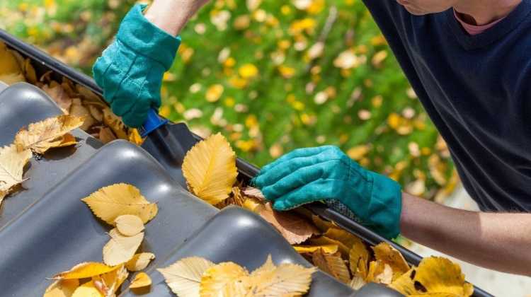 cleaning leaves out of gutters