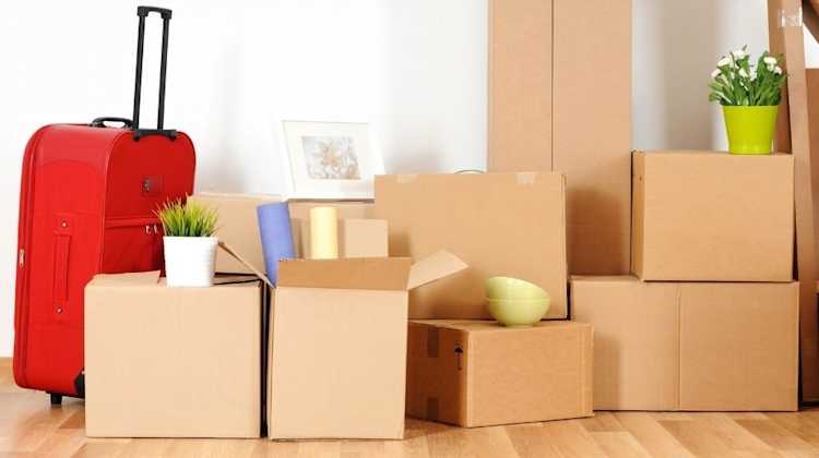red suitcase with cardboard moving boxes, plants, and assorted household objects