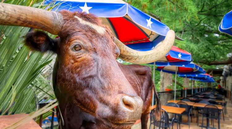 Things to do when stationed in San Antonio as a military family include the Riverwalk, cowboy boots, rodeo, and bats