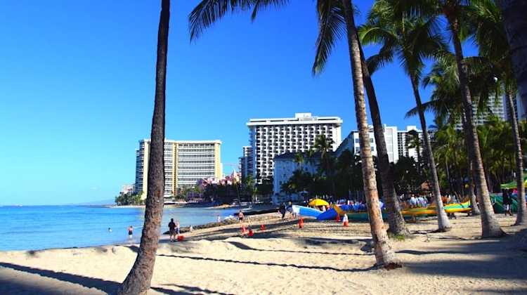 picture of beach in Hawaii with hotels behind palm trees