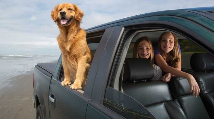truck on beach -dog and kids in backseat