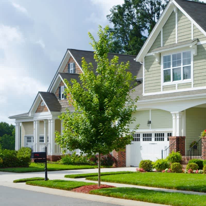 New home with green grass