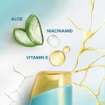 Infografik: DERMA Xᴾᴿᴼ Revitaliser Collection enthält ALOE, NIACINAMIDE, VITAMIN E