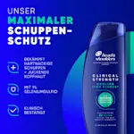 Unser maximaler Schuppen-Schutz