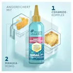 Head & Shoulders DermaX Pro Kopfhautpflege mit Manuka-Honig und Ceramid-Komplex. Blaue Flasche mit hervorgehobenen Inhaltsstoffen.