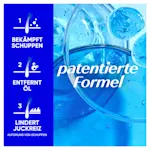 H&S - patentierte formel