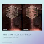Vorher-nachher-Vergleich einer Kopfhaut gegen Haarbruch und zur Haarstärkung