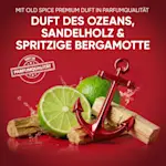 Old Spice Captain Shampoo