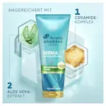 CN HS CD DxP Soothe SI3