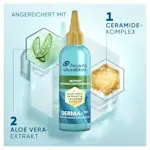 Image Carousel Slide