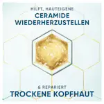 Honigfarbene Ceramide in sechseckiger Form vor einem sechseckig gemusterten Hintergrund. Text hebt die Wiederherstellung und Reparatur trockener Kopfhaut hervor.