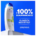 bis zu 100% Schuppenschutz