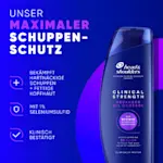 Unser maximaler Schuppen-Schutz