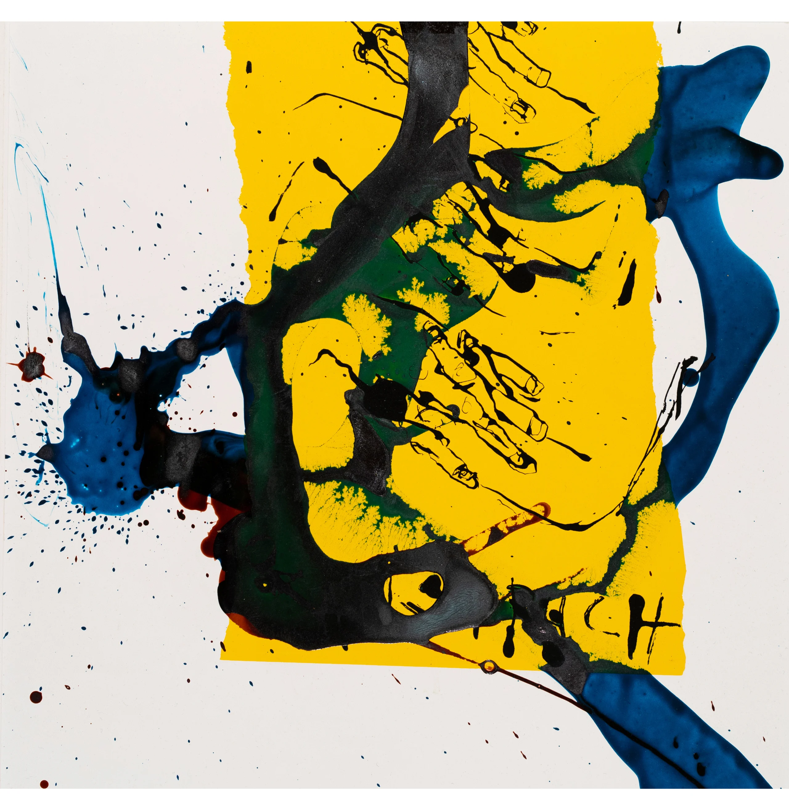 Blue vs. Yellow