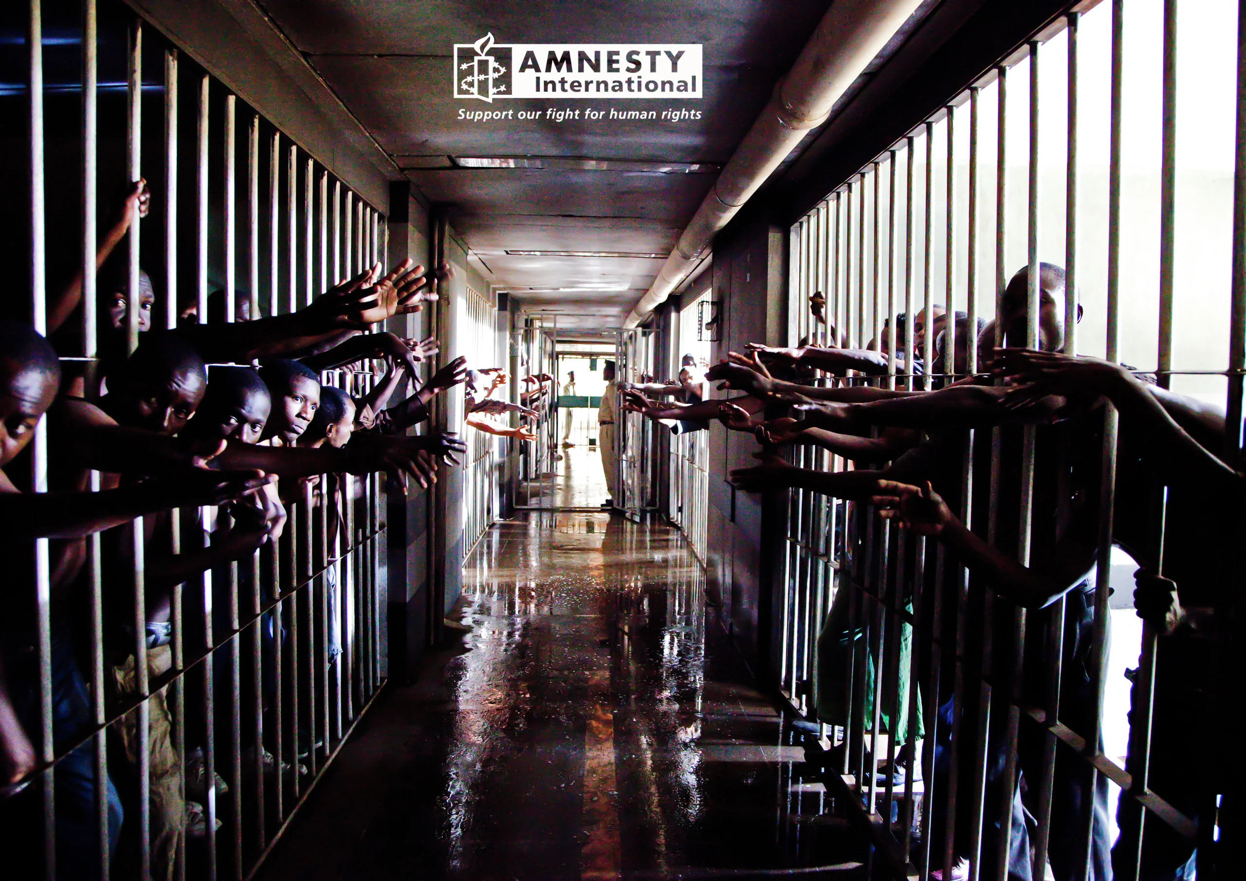 Amnesty