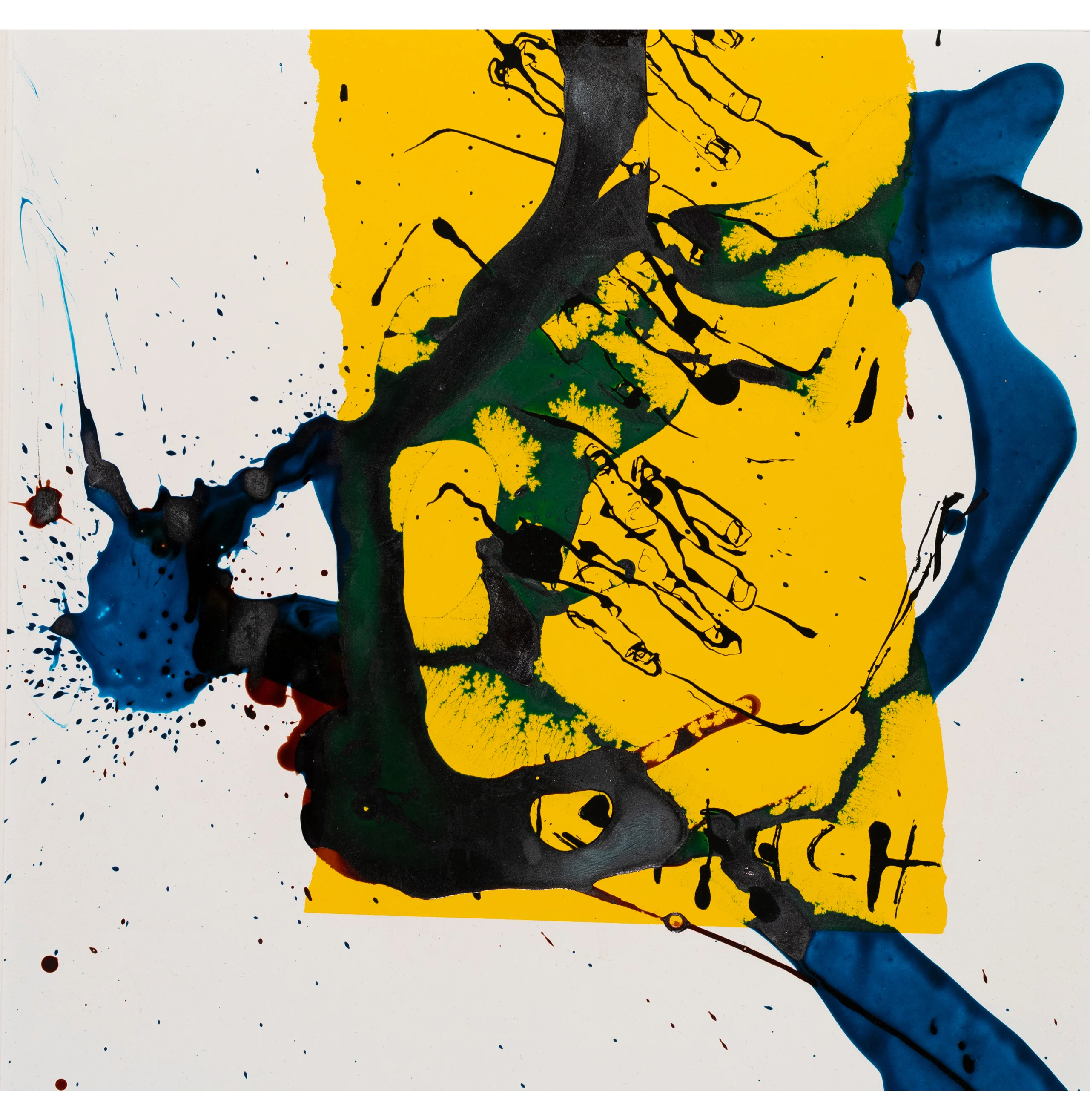 Blue vs. Yellow