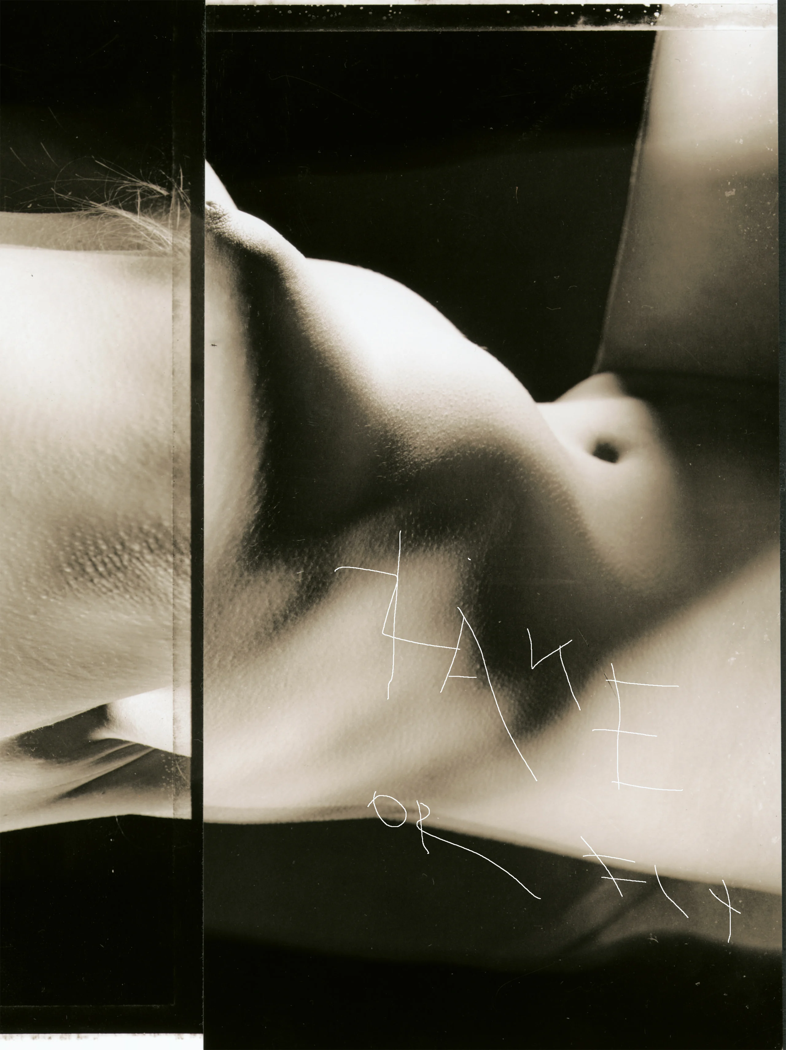 Nudes Fly