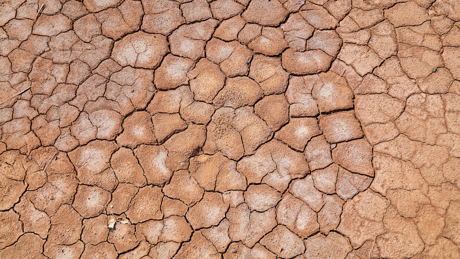 Cracked earth