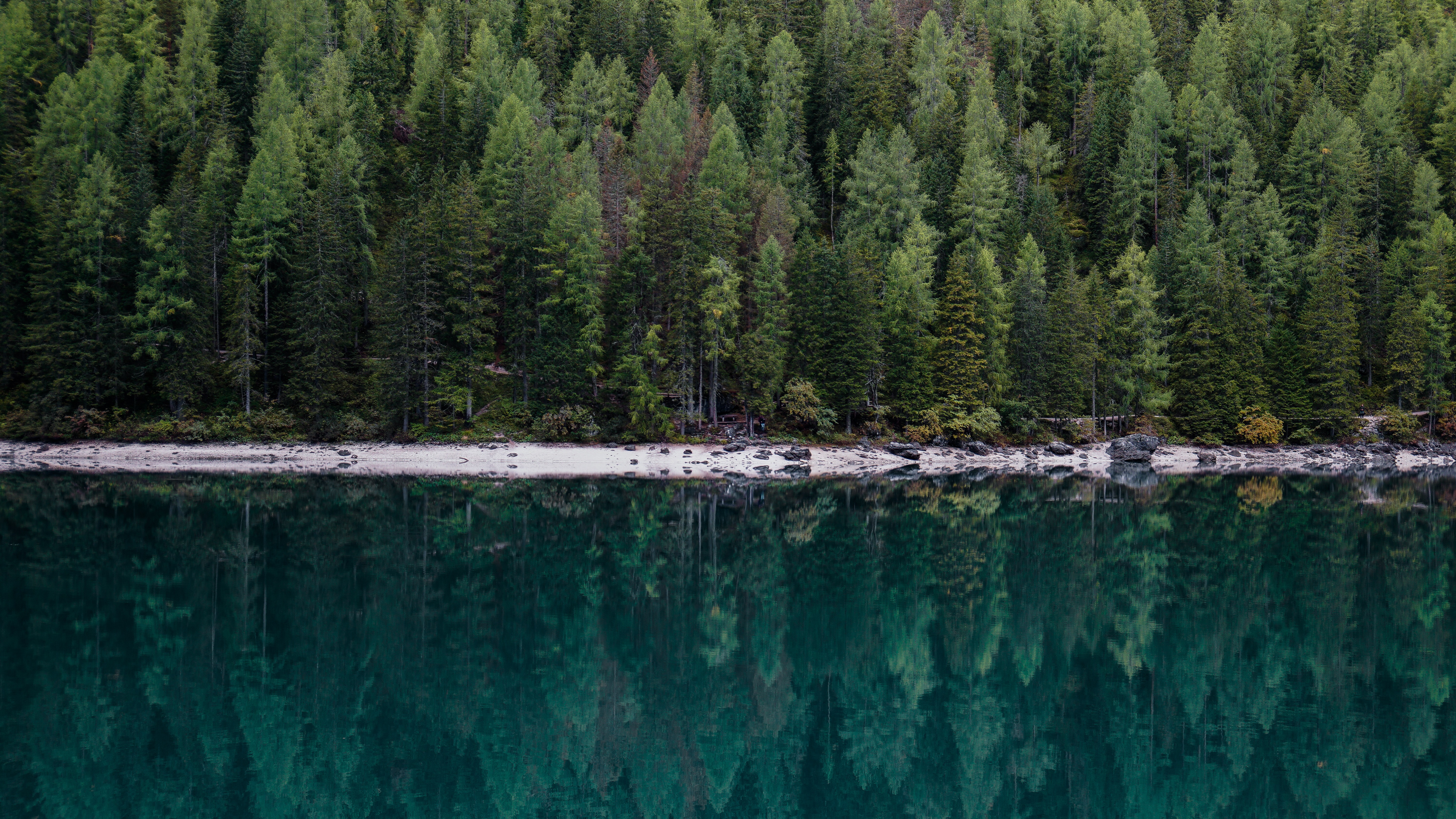 Lake and trees