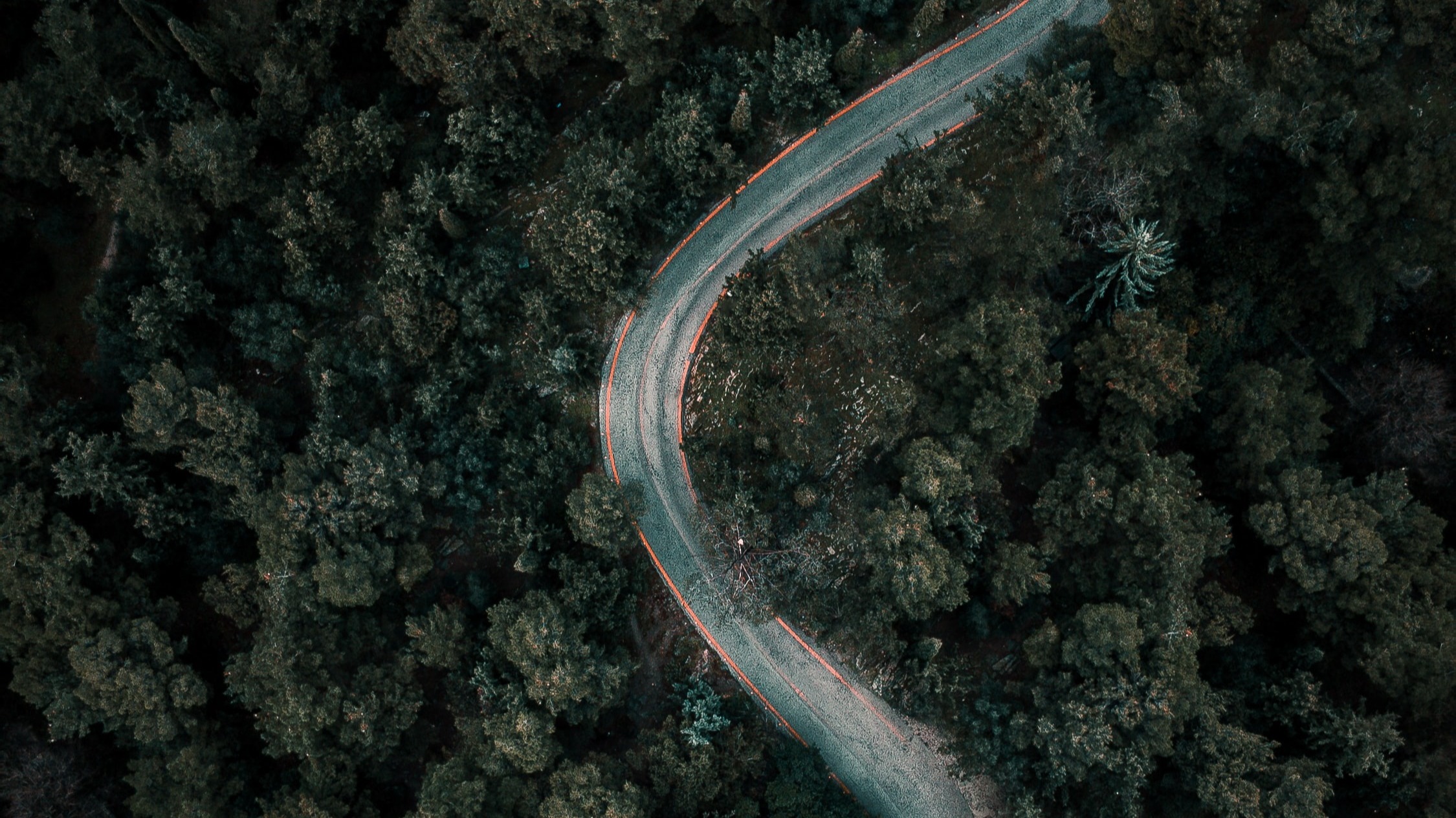Aerial view of road amongst trees