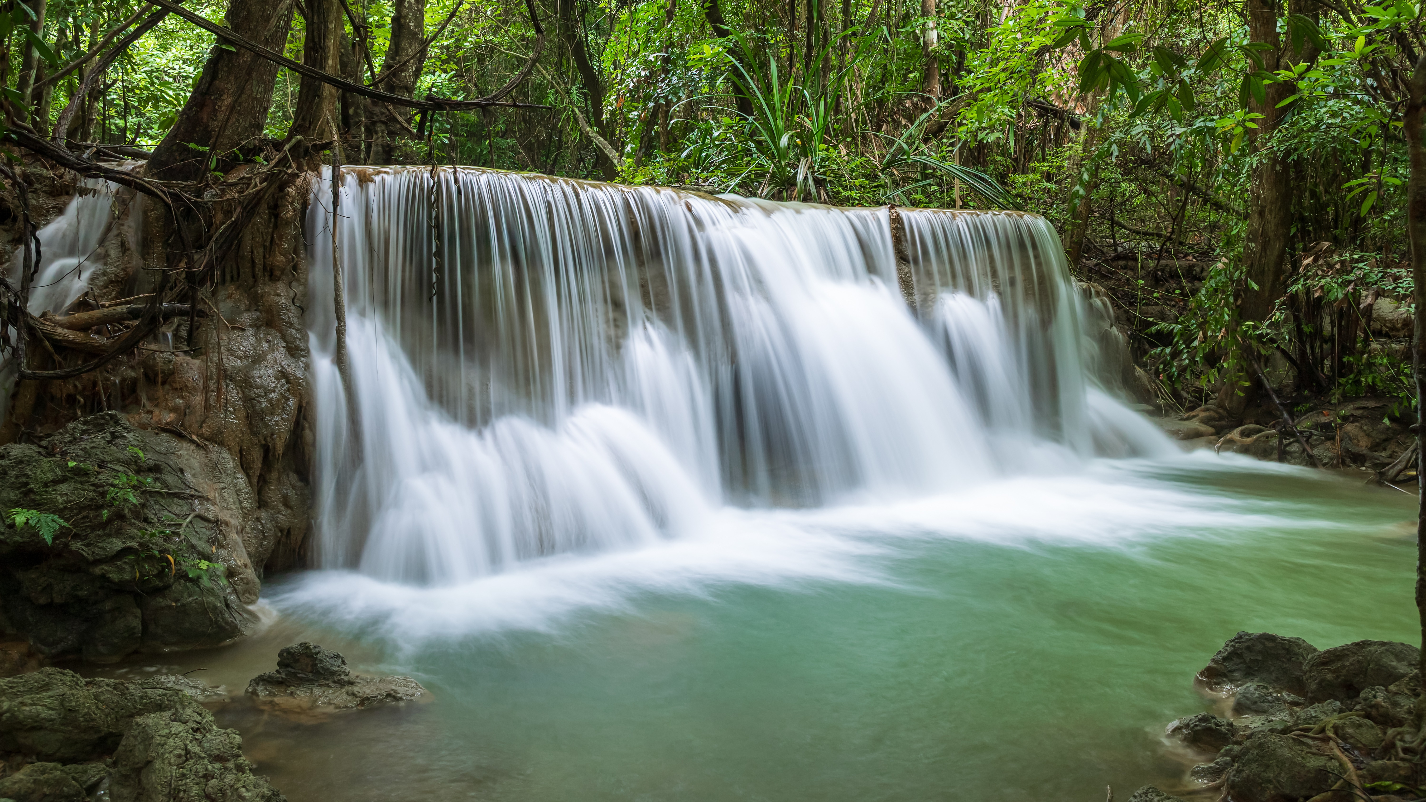 rainforest waterfall 