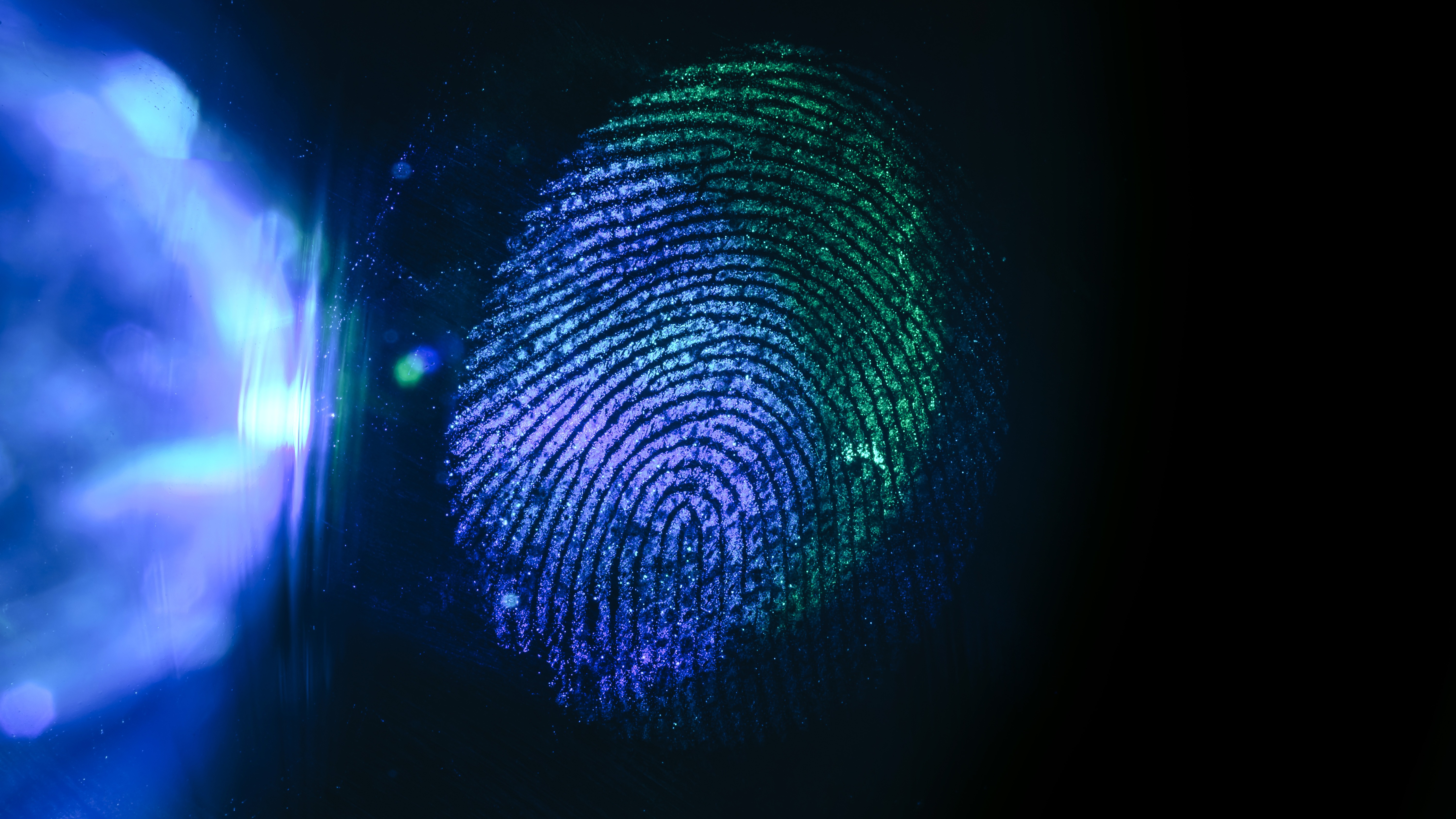 Newsletter #50 - Privacy Edition