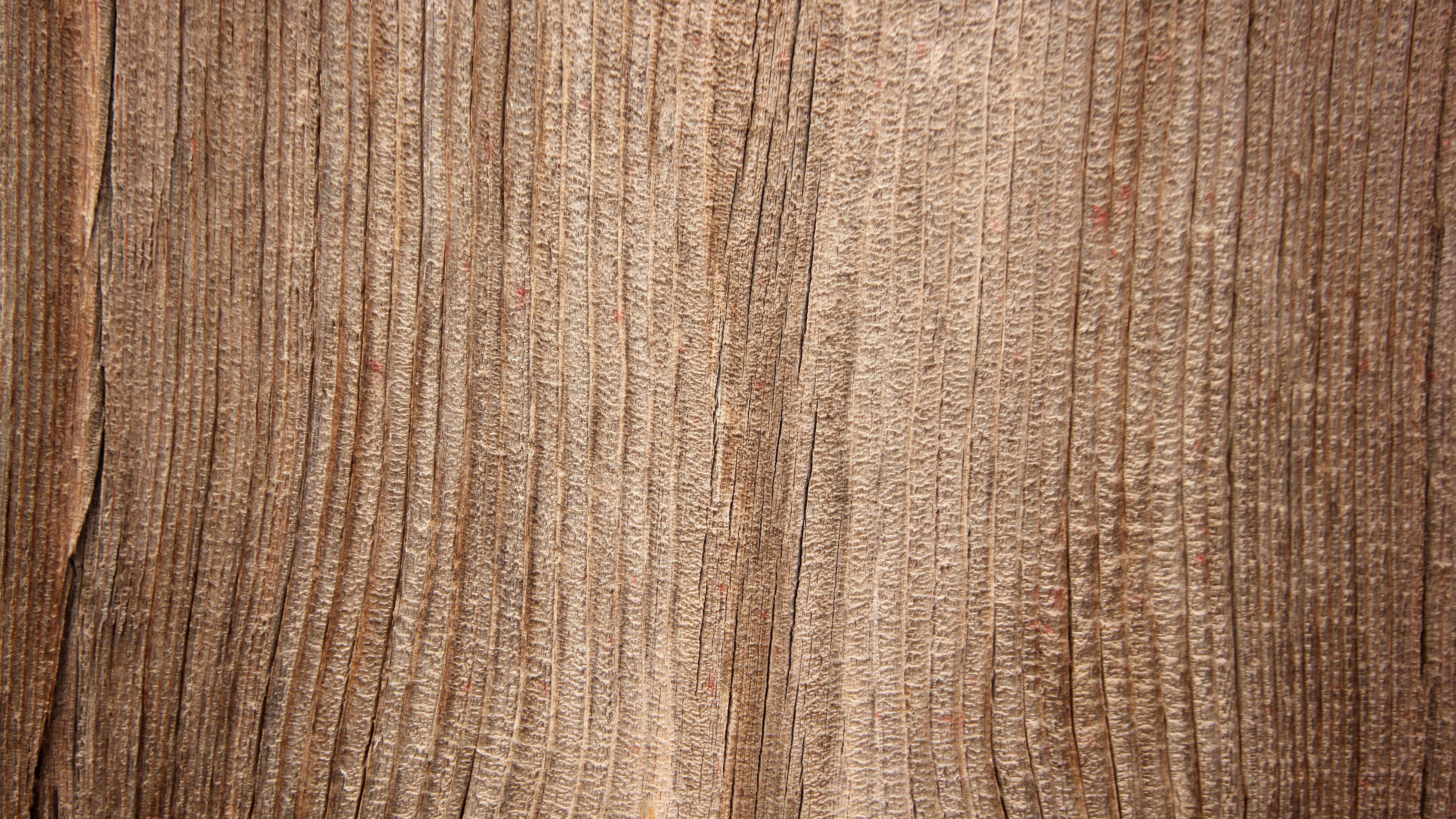 Wood tree