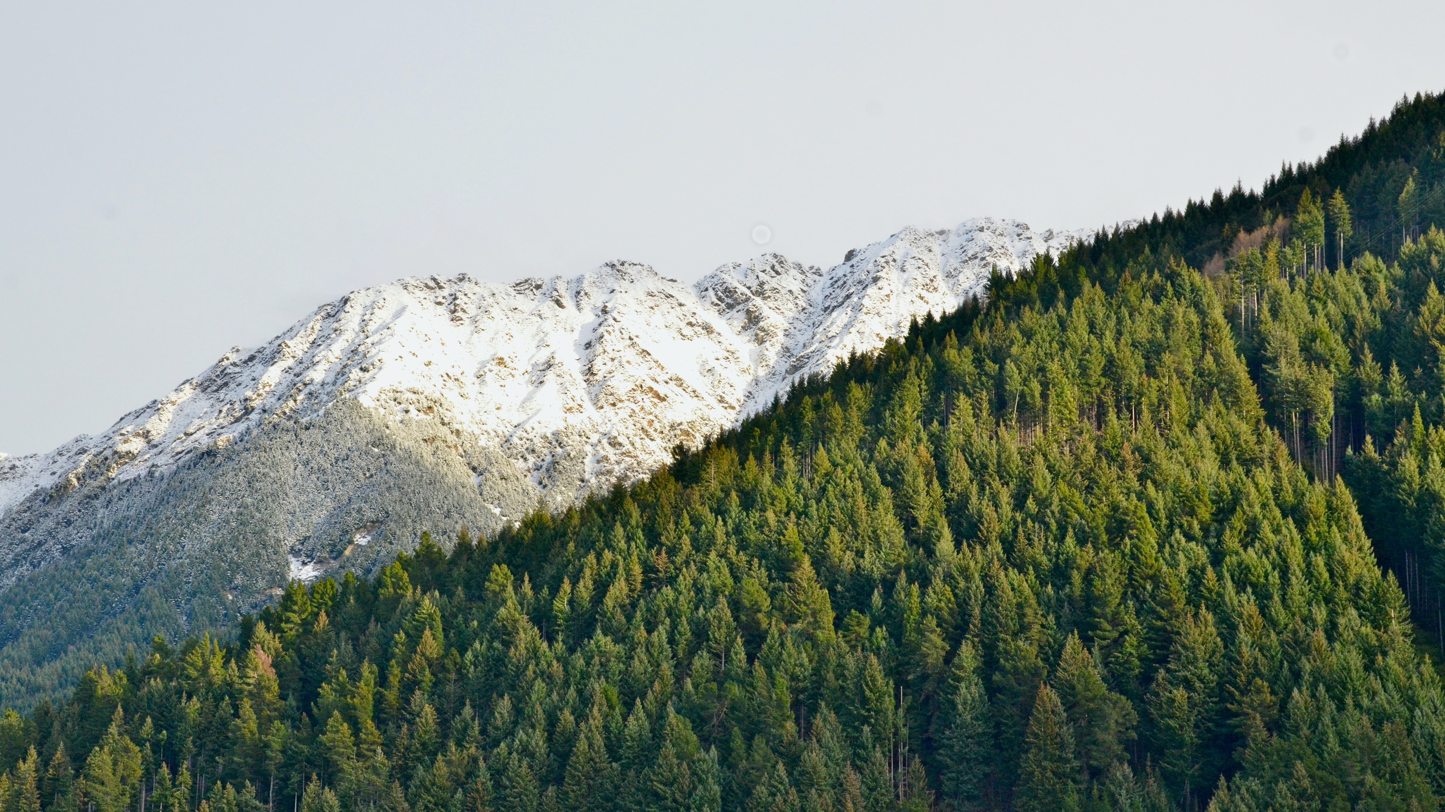 Mountains and trees