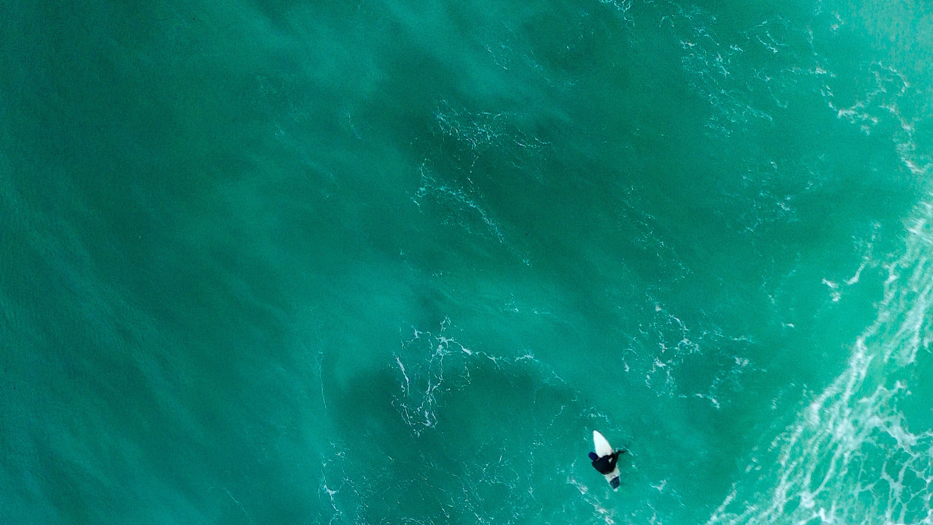 Surfers in ocean