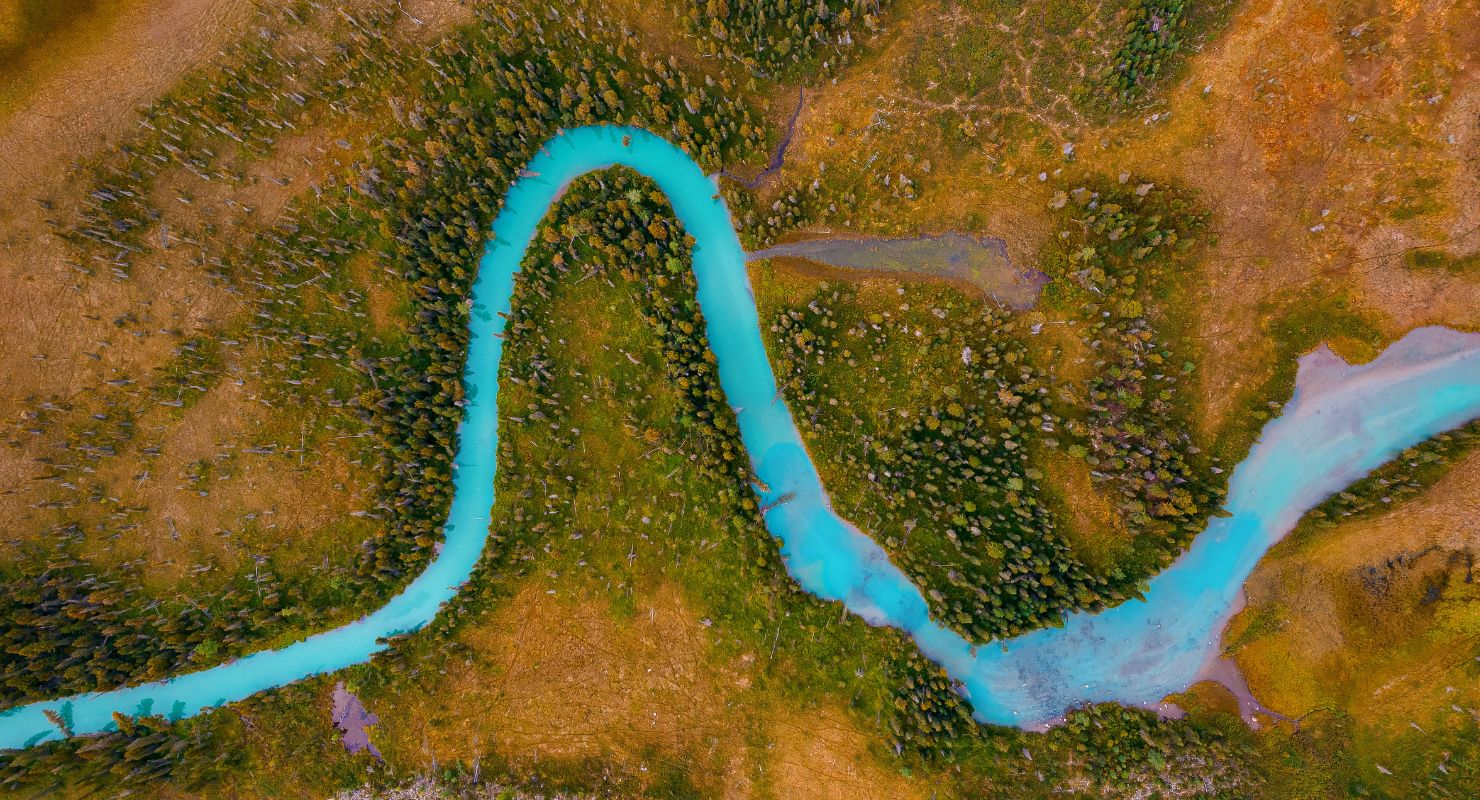 river between trees