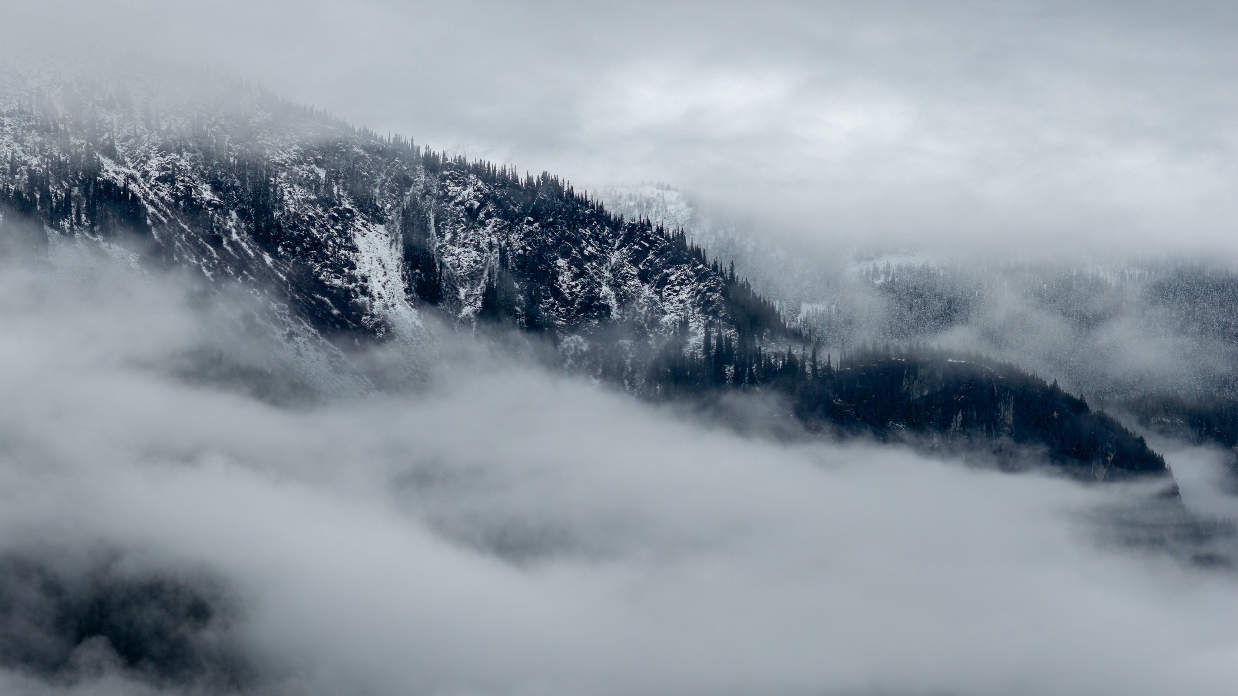 Fog over mountain