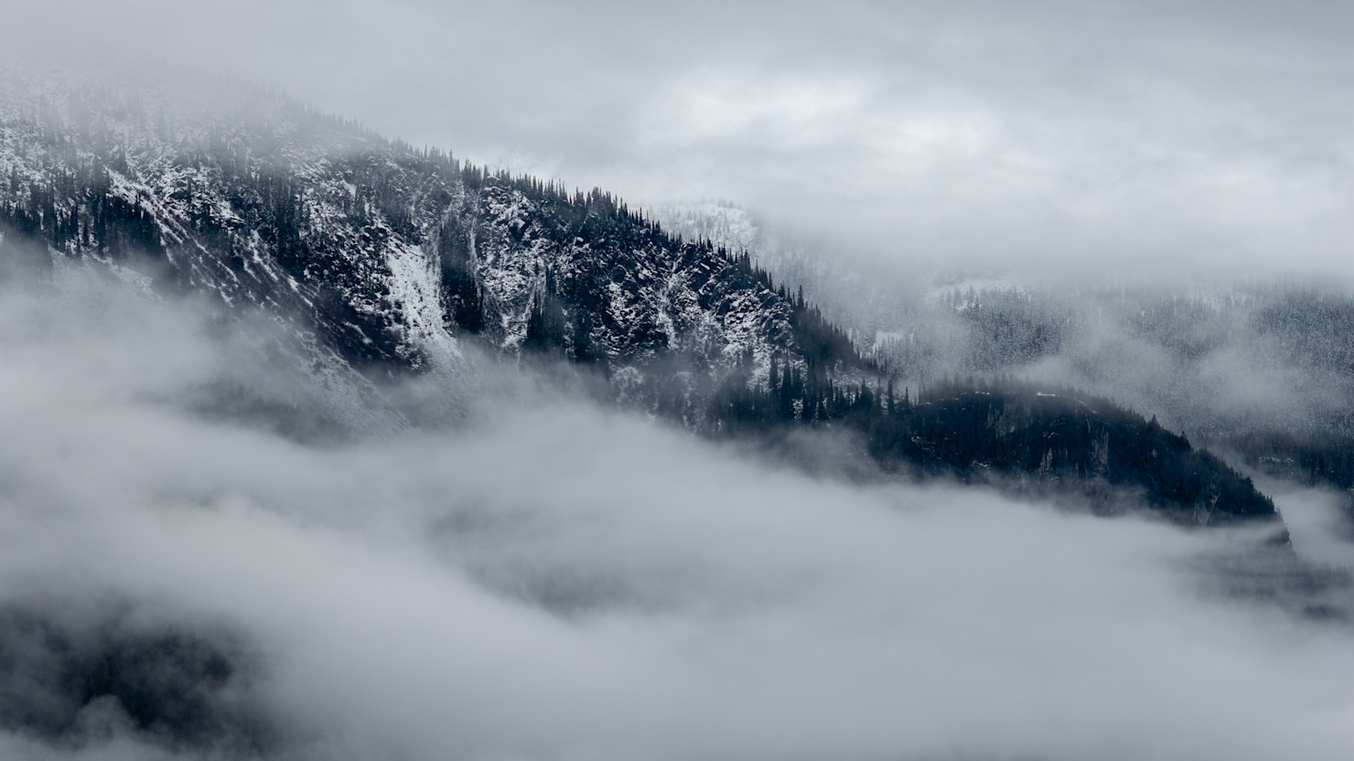 Fog over mountain