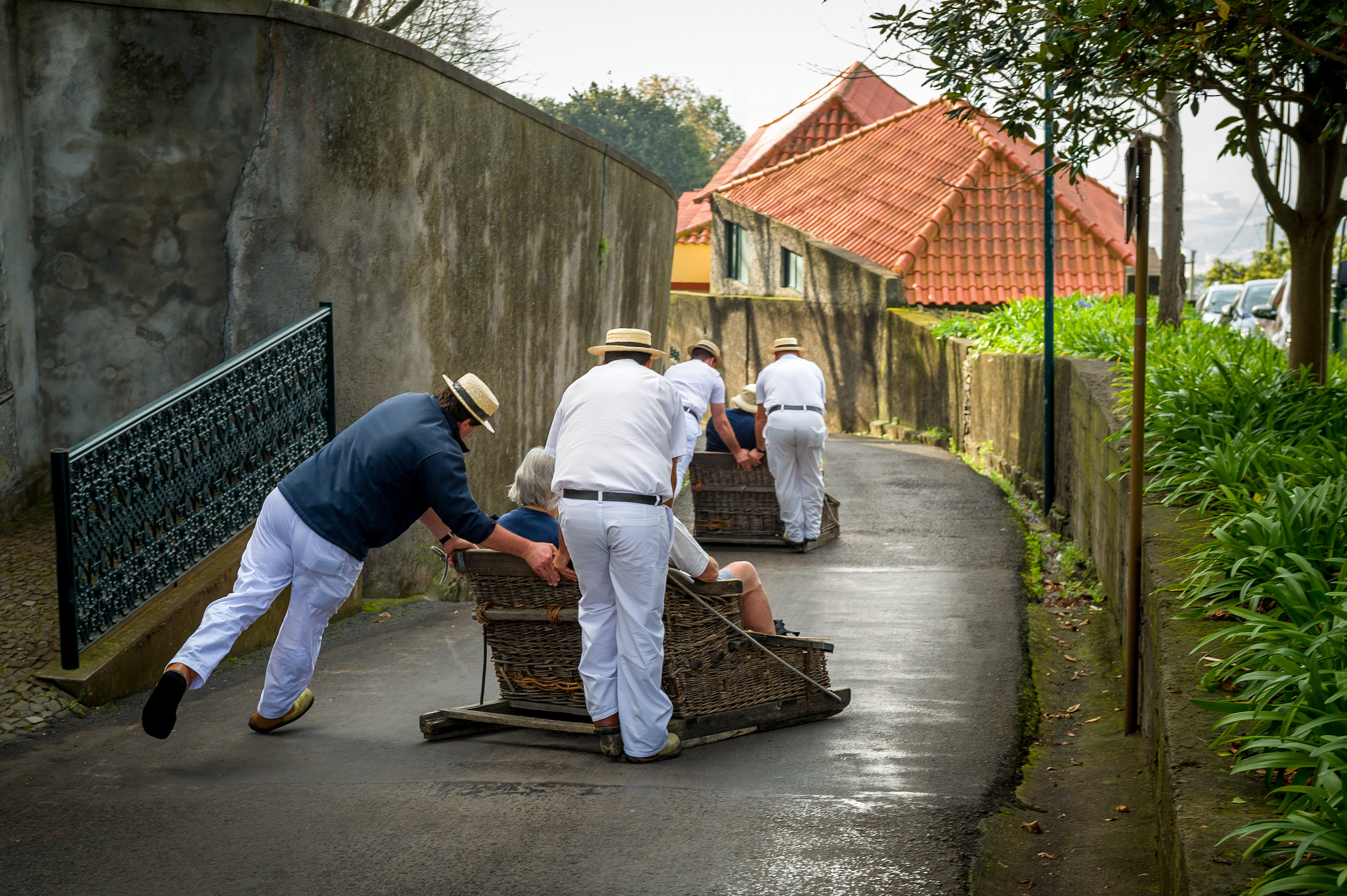 Madeira - Korbschlitten