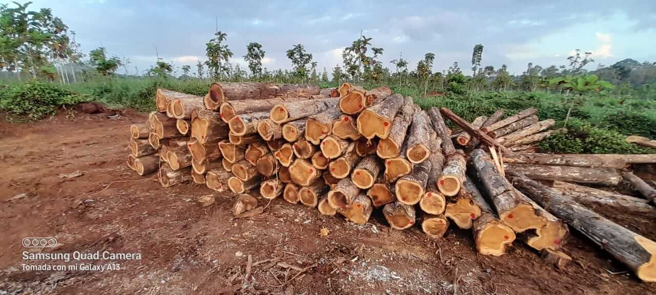 Round And Rough Square Logs