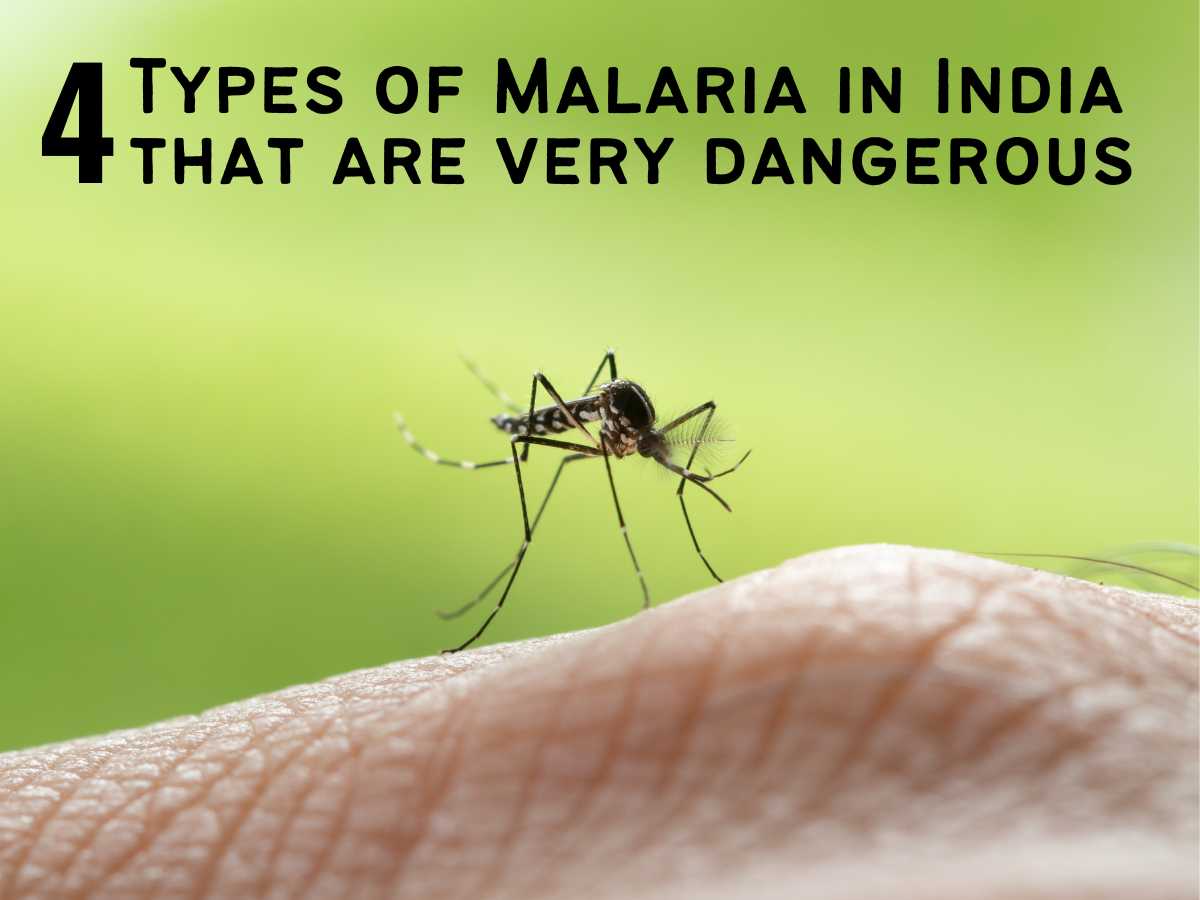 4 Types of Malaria in India that are very dangerous
