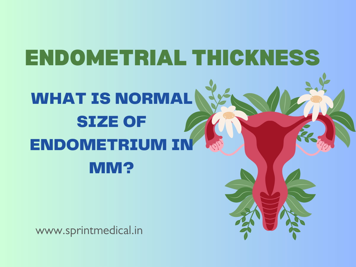 Endometrial Thickness-What is Normal Size of Endometrium in mm